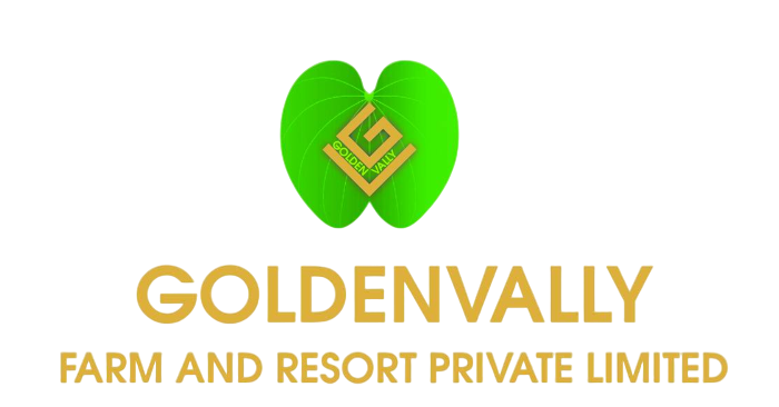Golden Valley resort